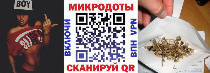 Галлюциногенные грибы Psilocybe  Купить закладки  Краснокамск 
